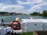Rhone 272